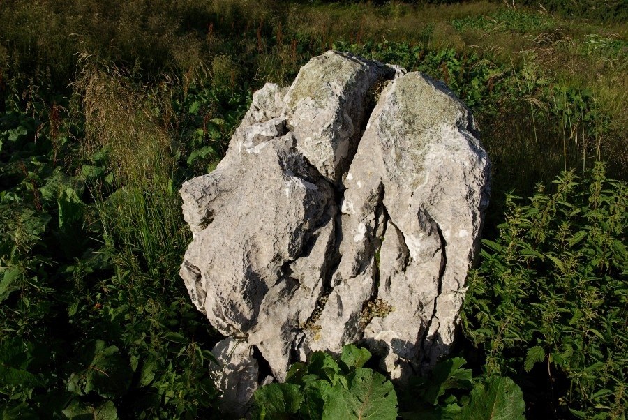 Mala: skala na planini Rzenik; velika: slika Rzeničnika 